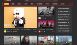 抖音最新大爆料视频大全,揭秘热门视频背后的秘密与精彩瞬间